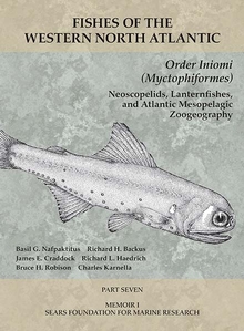 Order Iniomi (Myctophiformes)