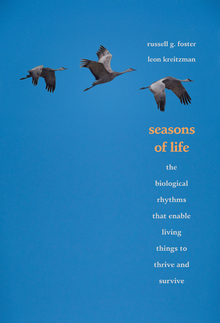 Seasons of Life