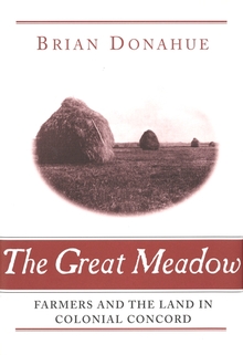 Great Meadow