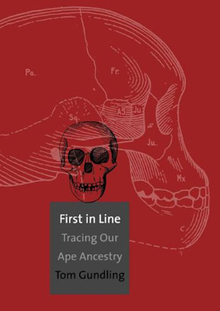First in Line